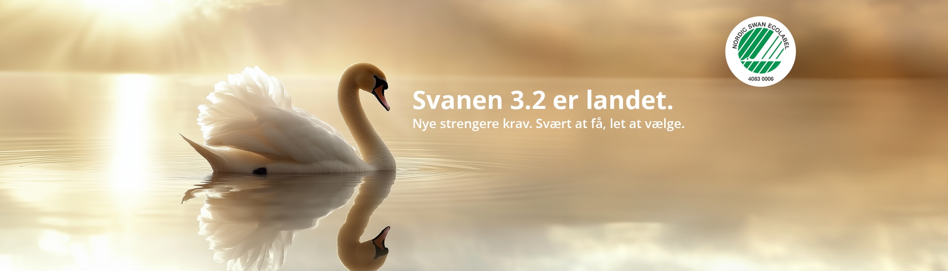 DK_Swan_3-2_Header.png DK_Swan_3-2_Header.png