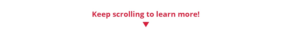 LandingPage_Components_V3-Section-1E.png